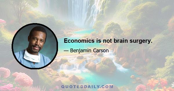 Economics is not brain surgery.