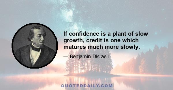 If confidence is a plant of slow growth, credit is one which matures much more slowly.