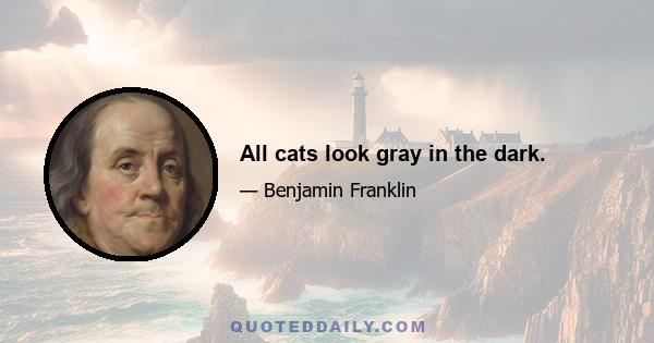 All cats look gray in the dark.