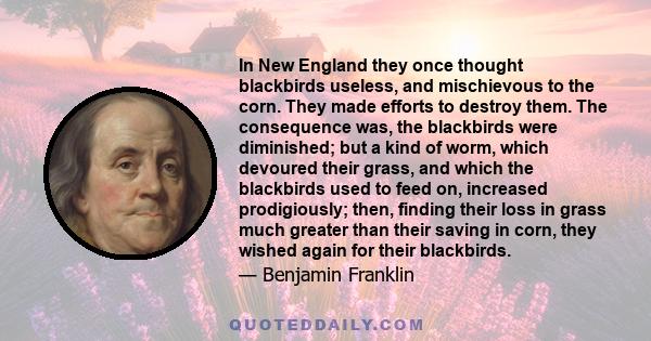 In New England they once thought blackbirds useless, and mischievous to the corn. They made efforts to destroy them. The consequence was, the blackbirds were diminished; but a kind of worm, which devoured their grass,