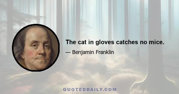 The cat in gloves catches no mice.