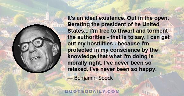 It's an ideal existence. Out in the open. Berating the president of he United States... I'm free to thwart and torment the authorities - that is to say, I can get out my hostilities - because I'm protected in my