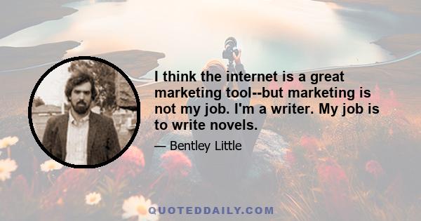 I think the internet is a great marketing tool--but marketing is not my job. I'm a writer. My job is to write novels.