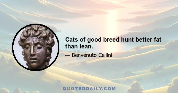 Cats of good breed hunt better fat than lean.