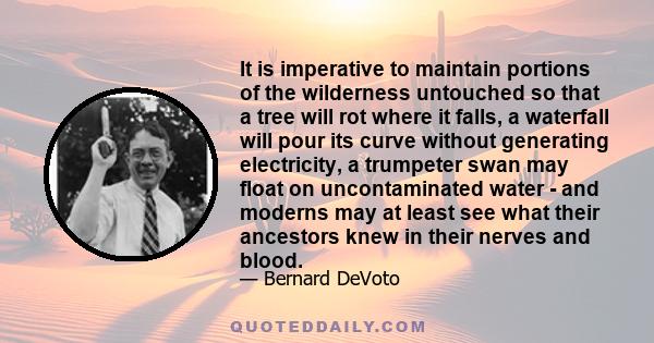 It is imperative to maintain portions of the wilderness untouched so that a tree will rot where it falls, a waterfall will pour its curve without generating electricity, a trumpeter swan may float on uncontaminated