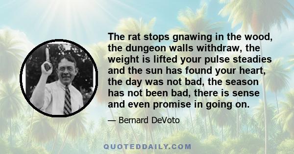 The rat stops gnawing in the wood, the dungeon walls withdraw, the weight is lifted your pulse steadies and the sun has found your heart, the day was not bad, the season has not been bad, there is sense and even promise 