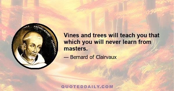 Vines and trees will teach you that which you will never learn from masters.