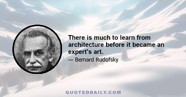 There is much to learn from architecture before it became an expert's art.