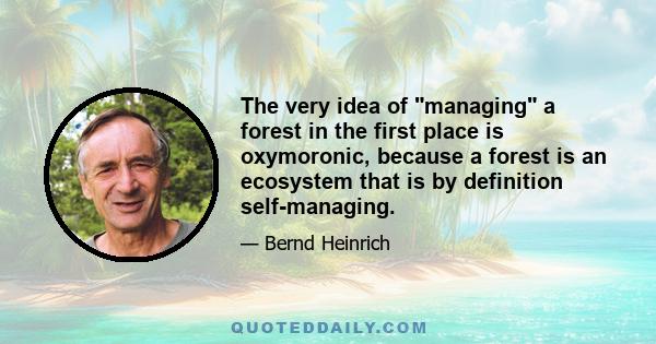 The very idea of managing a forest in the first place is oxymoronic, because a forest is an ecosystem that is by definition self-managing.