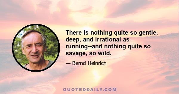 There is nothing quite so gentle, deep, and irrational as running--and nothing quite so savage, so wild.