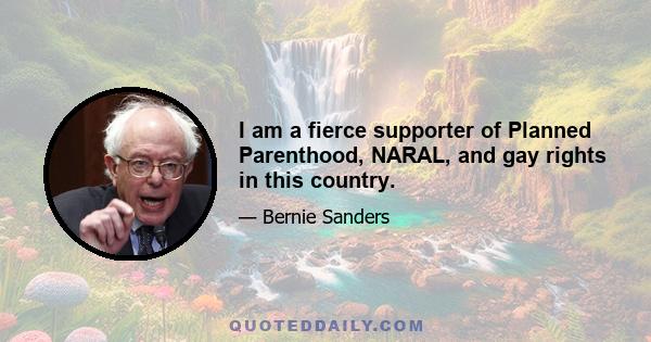 I am a fierce supporter of Planned Parenthood, NARAL, and gay rights in this country.