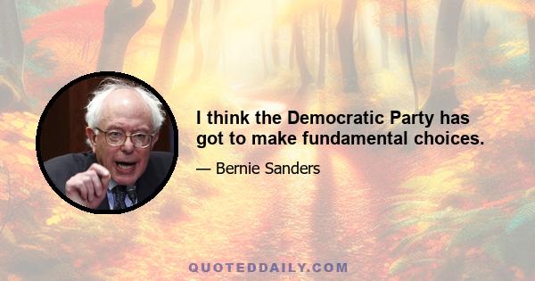 I think the Democratic Party has got to make fundamental choices.