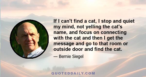 If I can't find a cat, I stop and quiet my mind, not yelling the cat's name, and focus on connecting with the cat and then I get the message and go to that room or outside door and find the cat.