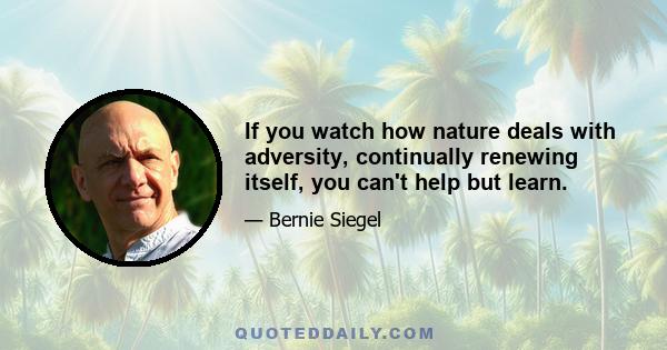 If you watch how nature deals with adversity, continually renewing itself, you can't help but learn.