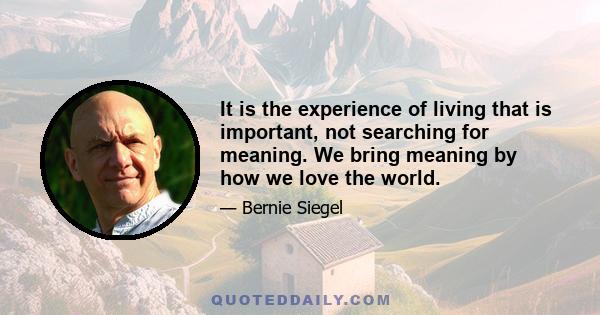 It is the experience of living that is important, not searching for meaning. We bring meaning by how we love the world.