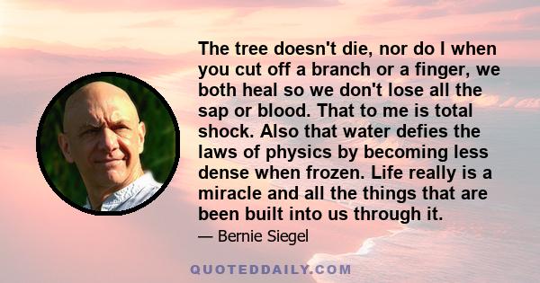 The tree doesn't die, nor do I when you cut off a branch or a finger, we both heal so we don't lose all the sap or blood. That to me is total shock. Also that water defies the laws of physics by becoming less dense when 