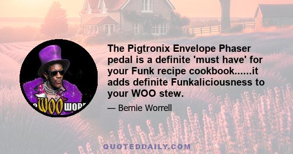 The Pigtronix Envelope Phaser pedal is a definite 'must have' for your Funk recipe cookbook......it adds definite Funkaliciousness to your WOO stew.