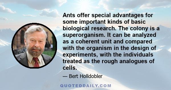 Ants offer special advantages for some important kinds of basic biological research. The colony is a superorganism. It can be analyzed as a coherent unit and compared with the organism in the design of experiments, with 