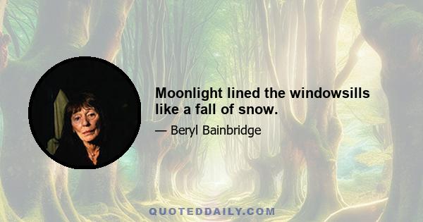 Moonlight lined the windowsills like a fall of snow.