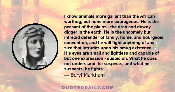 I know animals more gallant than the African warthog, but none more courageous. He is the peasant of the plains - the drab and dowdy digger in the earth. He is the uncomely but intrepid defender of family, home, and