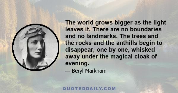 The world grows bigger as the light leaves it. There are no boundaries and no landmarks. The trees and the rocks and the anthills begin to disappear, one by one, whisked away under the magical cloak of evening.