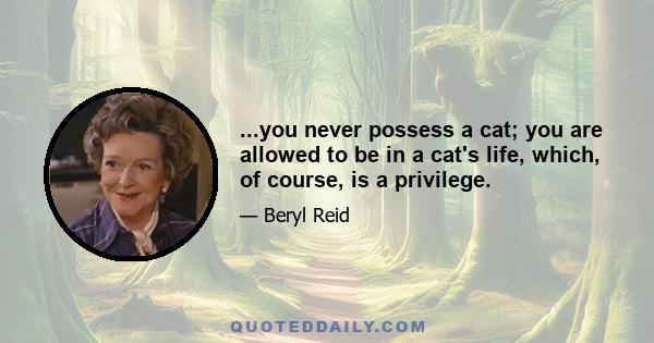 ...you never possess a cat; you are allowed to be in a cat's life, which, of course, is a privilege.