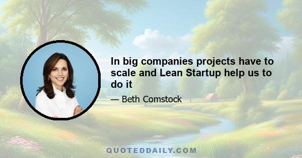 In big companies projects have to scale and Lean Startup help us to do it