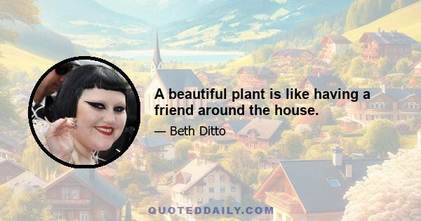 A beautiful plant is like having a friend around the house.