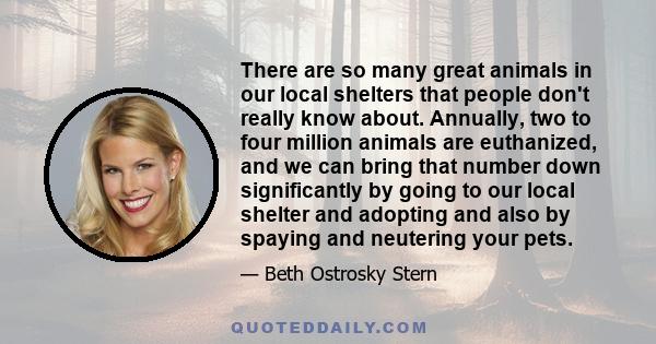 There are so many great animals in our local shelters that people don't really know about. Annually, two to four million animals are euthanized, and we can bring that number down significantly by going to our local