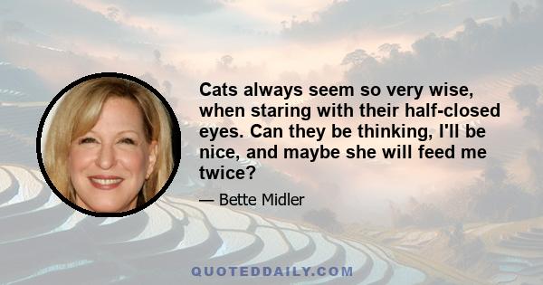 Cats always seem so very wise, when staring with their half-closed eyes. Can they be thinking, I'll be nice, and maybe she will feed me twice?