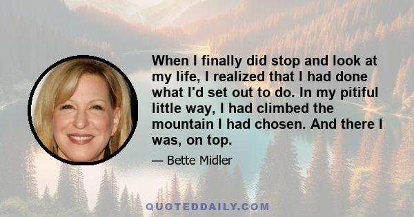 When I finally did stop and look at my life, I realized that I had done what I'd set out to do. In my pitiful little way, I had climbed the mountain I had chosen. And there I was, on top.