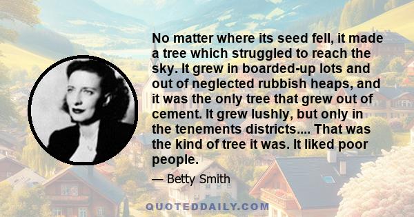 No matter where its seed fell, it made a tree which struggled to reach the sky. It grew in boarded-up lots and out of neglected rubbish heaps, and it was the only tree that grew out of cement. It grew lushly, but only