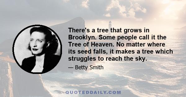 There's a tree that grows in Brooklyn. Some people call it the Tree of Heaven. No matter where its seed falls, it makes a tree which struggles to reach the sky.