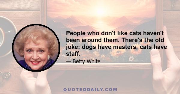 People who don't like cats haven't been around them. There's the old joke: dogs have masters, cats have staff.