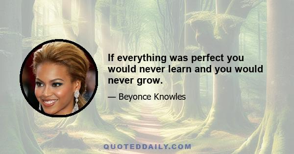 If everything was perfect you would never learn and you would never grow.