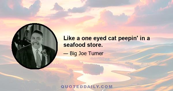 Like a one eyed cat peepin' in a seafood store.