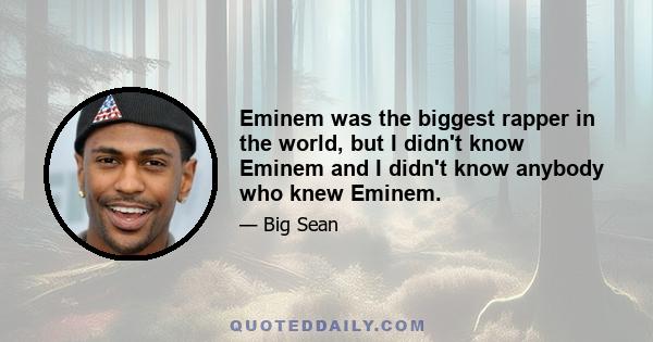 Eminem was the biggest rapper in the world, but I didn't know Eminem and I didn't know anybody who knew Eminem.