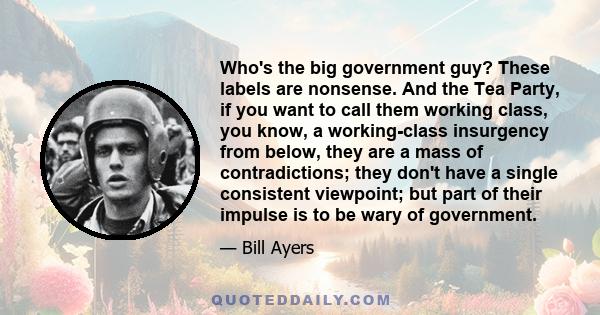 Who's the big government guy? These labels are nonsense. And the Tea Party, if you want to call them working class, you know, a working-class insurgency from below, they are a mass of contradictions; they don't have a