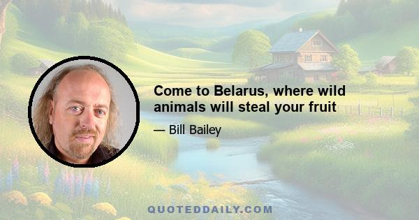 Come to Belarus, where wild animals will steal your fruit