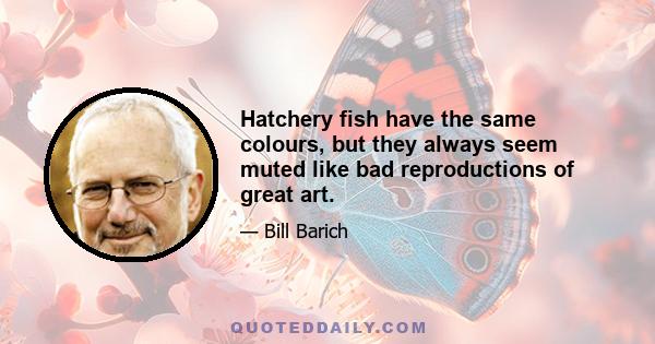 Hatchery fish have the same colours, but they always seem muted like bad reproductions of great art.