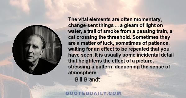 The vital elements are often momentary, change-sent things ... a gleam of light on water, a trail of smoke from a passing train, a cat crossing the threshold. Sometimes they are a matter of luck, sometimes of patience,