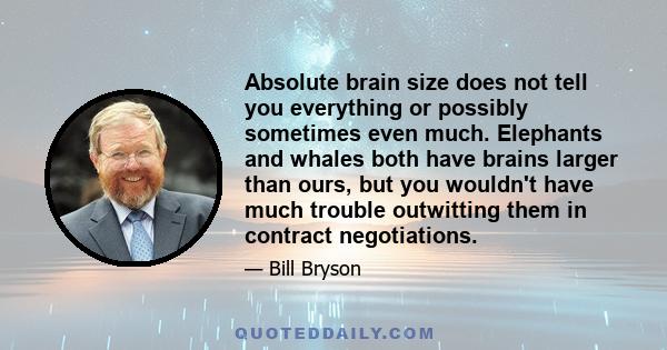 Absolute brain size does not tell you everything or possibly sometimes even much. Elephants and whales both have brains larger than ours, but you wouldn't have much trouble outwitting them in contract negotiations.