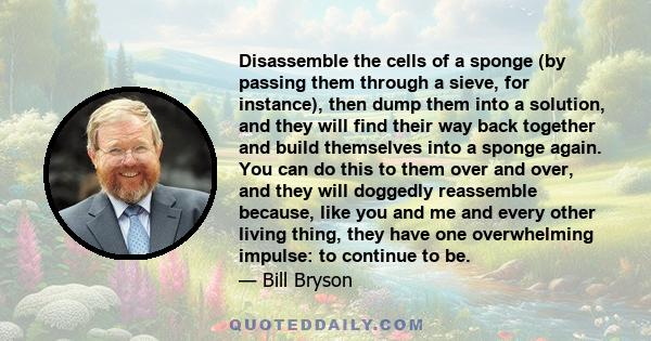 Disassemble the cells of a sponge (by passing them through a sieve, for instance), then dump them into a solution, and they will find their way back together and build themselves into a sponge again. You can do this to