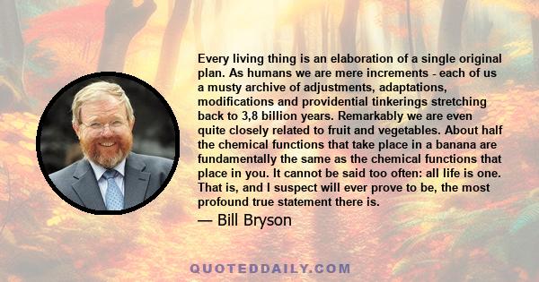 Every living thing is an elaboration of a single original plan. As humans we are mere increments - each of us a musty archive of adjustments, adaptations, modifications and providential tinkerings stretching back to 3,8 