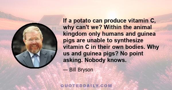 If a potato can produce vitamin C, why can't we? Within the animal kingdom only humans and guinea pigs are unable to synthesize vitamin C in their own bodies. Why us and guinea pigs? No point asking. Nobody knows.