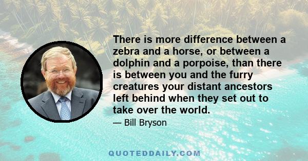 There is more difference between a zebra and a horse, or between a dolphin and a porpoise, than there is between you and the furry creatures your distant ancestors left behind when they set out to take over the world.