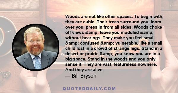 Woods are not like other spaces. To begin with, they are cubic. Their trees surround you, loom over you, press in from all sides. Woods choke off views & leave you muddled & without bearings. They make you feel