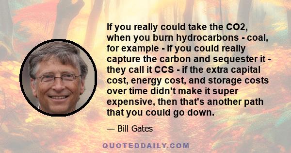 If you really could take the CO2, when you burn hydrocarbons - coal, for example - if you could really capture the carbon and sequester it - they call it CCS - if the extra capital cost, energy cost, and storage costs