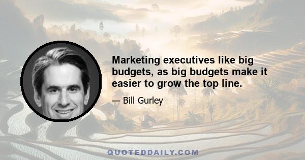 Marketing executives like big budgets, as big budgets make it easier to grow the top line.