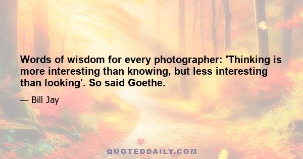 Words of wisdom for every photographer: 'Thinking is more interesting than knowing, but less interesting than looking'. So said Goethe.